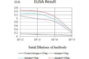 Black line: Control Antigen (100 ng),Purple line: Antigen (10 ng), Blue line: Antigen (50 ng), Red line:Antigen (100 ng) (Vimentin 抗体  (AA 2-466))