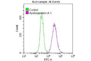 Overlay histogram showing A549 cells stained with ABIN7127342 (red line) at 1:50. (Recombinant APOA2 抗体)