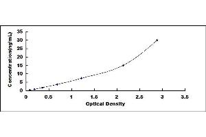 Typical standard curve (FABP7 ELISA 试剂盒)