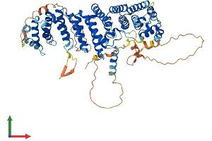 Protein Structure (PS) image for RRN3 RNA Polymerase I Transcription Factor (RRN3) (AA 1-651) protein (His tag) (ABIN7555284)