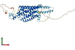 Protein Structure (PS) image for Neuromedin U Receptor 1 (NMUR1) (AA 1-428) protein (His tag) (ABIN7562468)