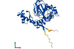 Protein Structure (PS) image for 2-Oxoglutarate and Iron-Dependent Oxygenase Domain Containing 2 (OGFOD2) (AA 1-350) protein (His tag) (ABIN7550433)