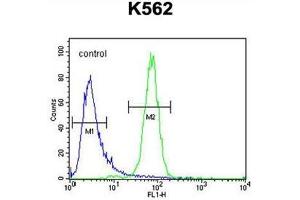 C6orf58 Antibody (Center) flow cytometric analysis of K562 cells (right histogram) compared to a negative control cell (left histogram). (C6ORF58 抗体  (Middle Region))