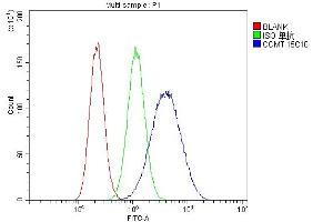 Flow Cytometry analysis of U87 cells using anti-COMT antibody (ABIN7601948).