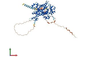 Protein Structure (PS) image for Mannosyl (Beta-1,4-)-Glycoprotein beta-1,4-N-Acetylglucosaminyltransferase (MGAT3) (AA 1-533) protein (His tag) (ABIN7554535)