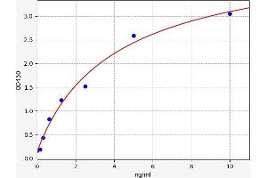 Typical standard curve (RAP1B ELISA 试剂盒)