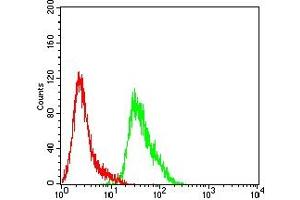 Flow Cytometry (FACS) image for anti-Catenin (Cadherin-Associated Protein), beta 1, 88kDa (CTNNB1) (AA 632-781) antibody (ABIN7193682)