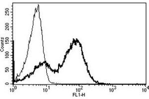 Flow Cytometry (FACS) image for anti-CD7 (CD7) antibody (ABIN1106539) (CD7 抗体)