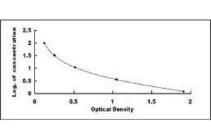 ELISA image for 7-Dehydrocholesterol ELISA Kit (ABIN418761) (7-Dehydrocholesterol ELISA 试剂盒)
