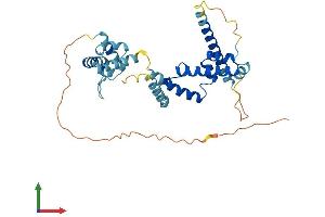 AlphaFold protein structure predicition of Mouse Recombinant Ccdc97 Protein, UniprotID Q9DBT3 (CCDC97 Protein (AA 1-340) (His tag))