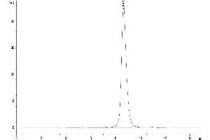 The purity of Cynomolgus B7-H6 is greater than 95 % as determined by SEC-HPLC.