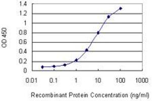 Detection limit for recombinant GST tagged PYGO1 is 0. (PYGO1 抗体  (AA 101-200))