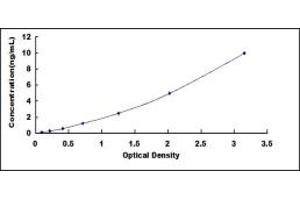 Typical standard curve (Peripherin ELISA 试剂盒)