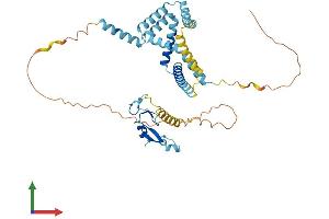 Protein Structure (PS) image for Zinc Finger, FYVE Domain Containing 27 (ZFYVE27) (AA 1-411) protein (His tag) (ABIN7545386)
