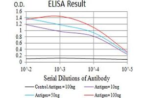 Black line: Control Antigen (100 ng),Purple line: Antigen (10 ng), Blue line: Antigen (50 ng), Red line:Antigen (100 ng) (CHRNA10 抗体  (AA 25-237))