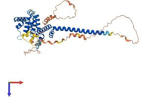 Chromosome 2 Open Reading Frame 24 (C2orf24) (AA 1-407) protein (His tag)