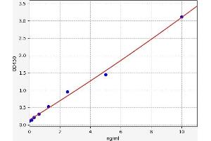 Neudesin (NENF) ELISA Kit