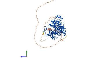 Protein Structure (PS) image for CDC-Like Kinase 2 (CLK2) (AA 1-499) protein (His tag) (ABIN7562329)