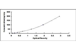 Typical standard curve (SERPINA3 ELISA 试剂盒)