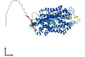 Protein Structure (PS) image for Solute Carrier Family 6 (Neurotransmitter Transporter, Noradrenalin), Member 2 (SLC6A2) (AA 1-617) protein (His tag) (ABIN7551694)