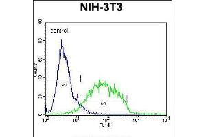 Flow cytometric analysis of NIH-3T3 cells (right histogram) compared to a negative control cell (left histogram). (GCNT3 抗体  (C-Term))