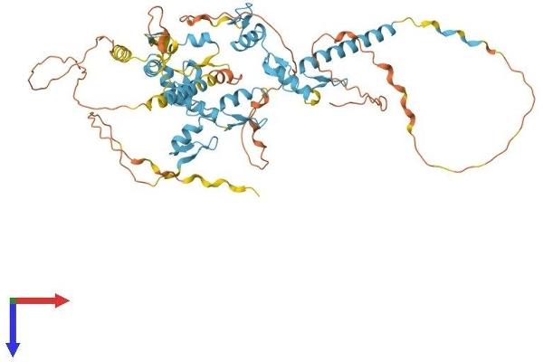 ZNF579 Protein (AA 1-562) (His tag)