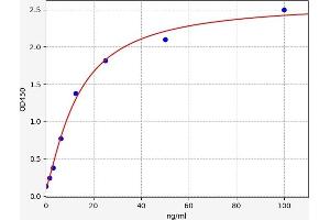 CPB2 ELISA 试剂盒