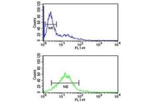 Phospholamban antibody flow cytometric analysis of Jurkat cells (green) compared to a negative control (blue). (Phospholamban 抗体  (AA 1-30))