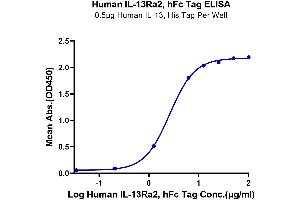 Immobilized Human IL-13, His Tag at 5 μg/mL (100 μL/well) on the plate. (IL13RA2 Protein (AA 27-342) (Fc Tag))