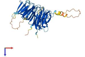 AlphaFold protein structure predicition of Mouse Recombinant Rccd1 Protein, UniprotID Q8BTU7