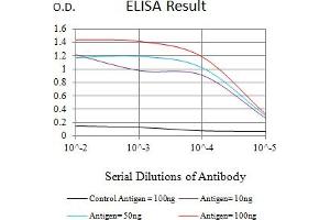 Black line: Control Antigen (100 ng),Purple line: Antigen (10 ng), Blue line: Antigen (50 ng), Red line:Antigen (100 ng) (EZH1 抗体  (AA 135-294))