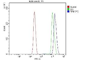Flow Cytometry analysis of U937 cells using anti-Cyclophilin E/PPIE antibody (ABIN7599243). (PPIE 抗体  (AA 1-301))