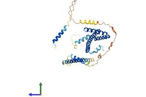 Protein Structure (PS) image for Surfeit 6 (SURF6) (AA 1-361) protein (His tag) (ABIN7544044)
