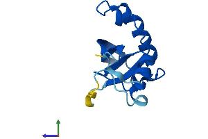 Protein Structure (PS) image for Chromosome 2 Open Reading Frame 76 (C2ORF76) (AA 1-126) protein (His tag) (ABIN7552872)