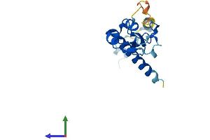 Protein Structure (PS) image for Ring Finger Protein 181 (RNF181) (AA 1-153) protein (His tag) (ABIN7551483)