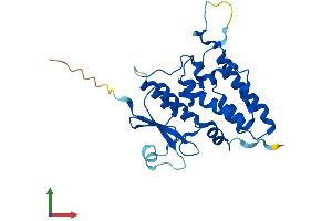 Protein Structure (PS) image for Chloride Intracellular Channel 5 (CLIC5) (AA 1-251) protein (His tag) (ABIN7559000)