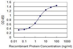 Detection limit for recombinant GST tagged LRRC4C is 0. (LRRC4C 抗体  (AA 541-640))