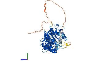 Protein Structure (PS) image for tRNA Aspartic Acid Methyltransferase 1 (TRDMT1) (AA 1-415) protein (His tag) (ABIN7562471)