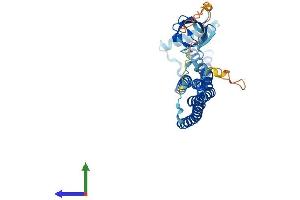 AlphaFold protein structure predicition of Human Recombinant SH3GL1 Protein, UniprotID Q99961