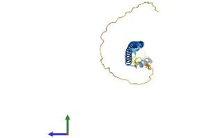 Protein Structure (PS) image for Chromosome 19 Open Reading Frame 50 (C19orf50) (AA 1-177) protein (His tag) (ABIN7558419)