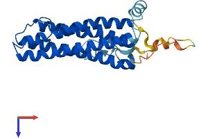 AlphaFold protein structure predicition of Mouse Recombinant Scamp4 Protein, UniprotID Q9JKV5