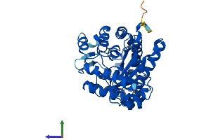 Protein Structure (PS) image for Uroporphyrinogen Decarboxylase (UROD) (AA 1-367) protein (His tag) (ABIN7546994)