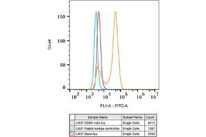 Flow cytometry: U937 cells were stained with Rabbit IgG isotype control (, 10 μg/mL, blue line) or CD8A Rabbit mAb (ABIN1512846, ABIN3021030, ABIN3021031 and ABIN7101333, 10 μg/mL orange line), followed by FITC conjugated goat anti-Rabbit pAb (1:200 dilution) staining. (CD8 alpha 抗体)