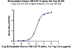 ELISA image for Colony Stimulating Factor 2 Receptor, Alpha, Low-Affinity (Granulocyte-Macrophage) (CSF2RA) (AA 23-320) protein (His-Avi Tag,Biotin) (ABIN7274429)