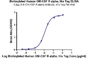 Immobilized Anti-GM-CSF R alpha Antibody, hFc Tag at 2 μg/mL (100 μL/well) on the plate. (CSF2RA Protein (His-Avi Tag,Biotin))