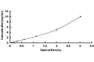 Cytoskeleton-Associated Protein 4 (CKAP4) ELISA Kit