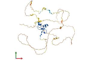 Protein Structure (PS) image for Pygopus Homolog 1 (Drosophila) (PYGO1) (AA 1-419) protein (His tag) (ABIN7551130)