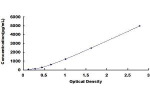 Typical standard curve (RESP18 ELISA 试剂盒)