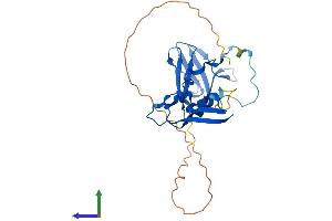 Protein Structure (PS) image for Protein Kinase, AMP-Activated, beta 2 Non-Catalytic Subunit (PRKAB2) (AA 1-272) protein (His tag) (ABIN7551818)