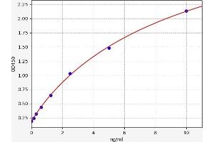 PDE1C ELISA 试剂盒